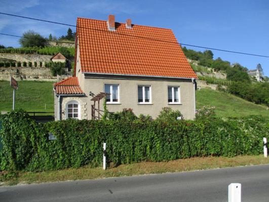 Ferienhaus Und Strausswirtschaft Im Weinberg Freyburg  Exterior foto